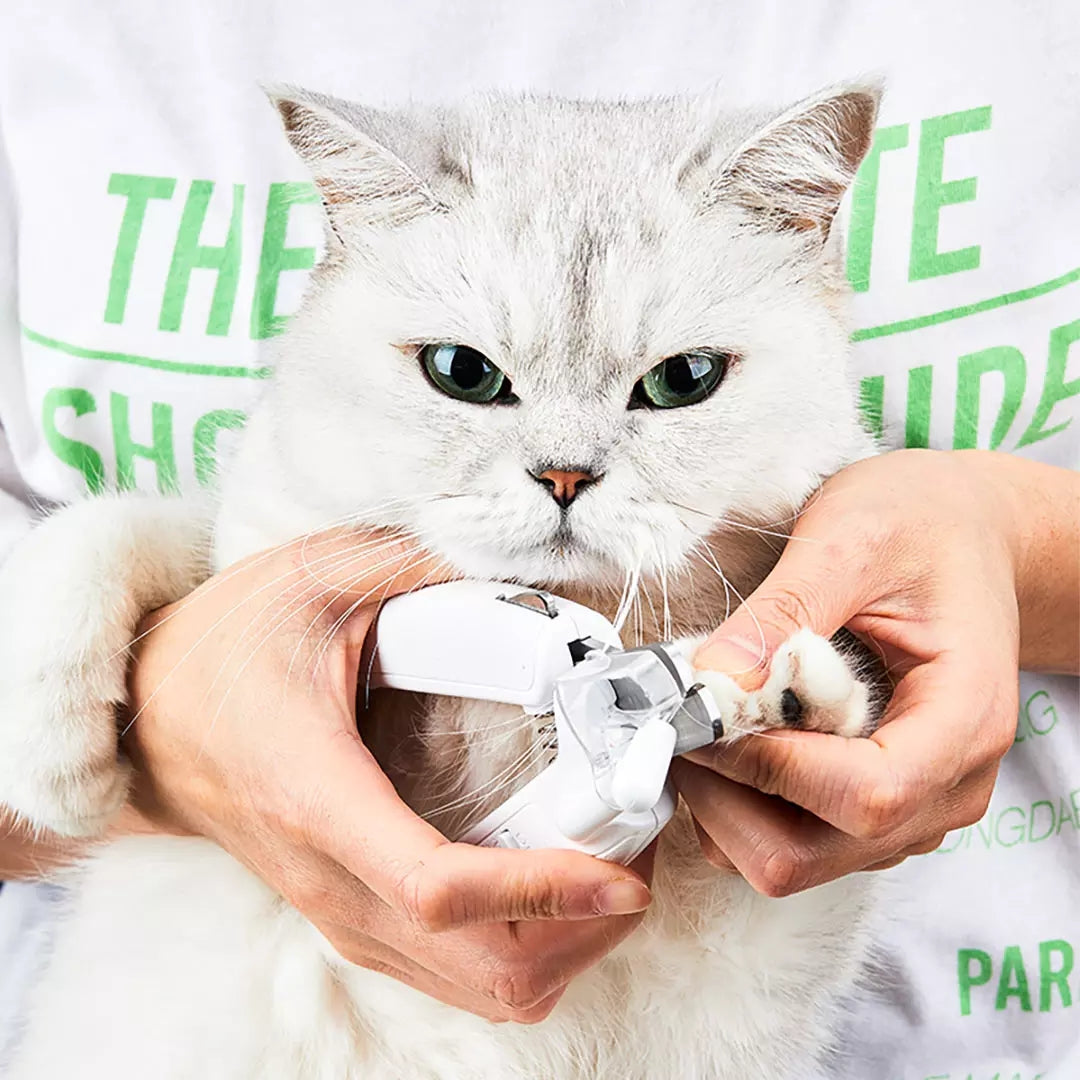 SunReady LED Pet Nail Clippers for Dogs & Cats feature view for indoor cats