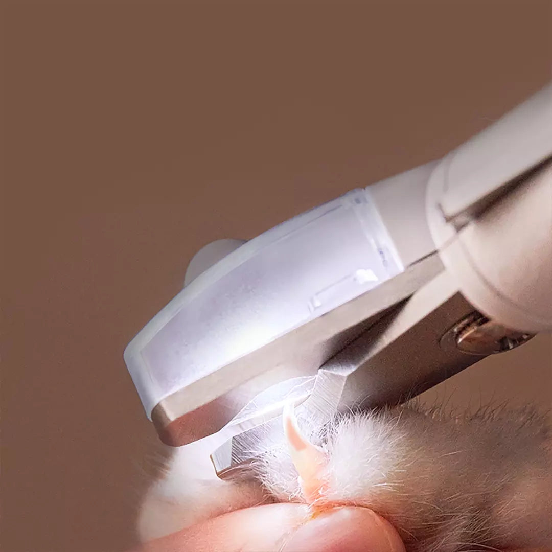 SunReady LED Pet Nail Clippers for Dogs & Cats practical at-home grooming setup in Australia