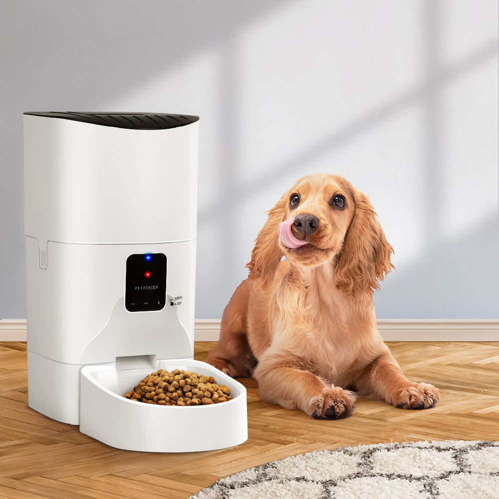 SunReady Smart 9L WiFi Automatic Pet Feeder lifestyle photo for Australian pet homes