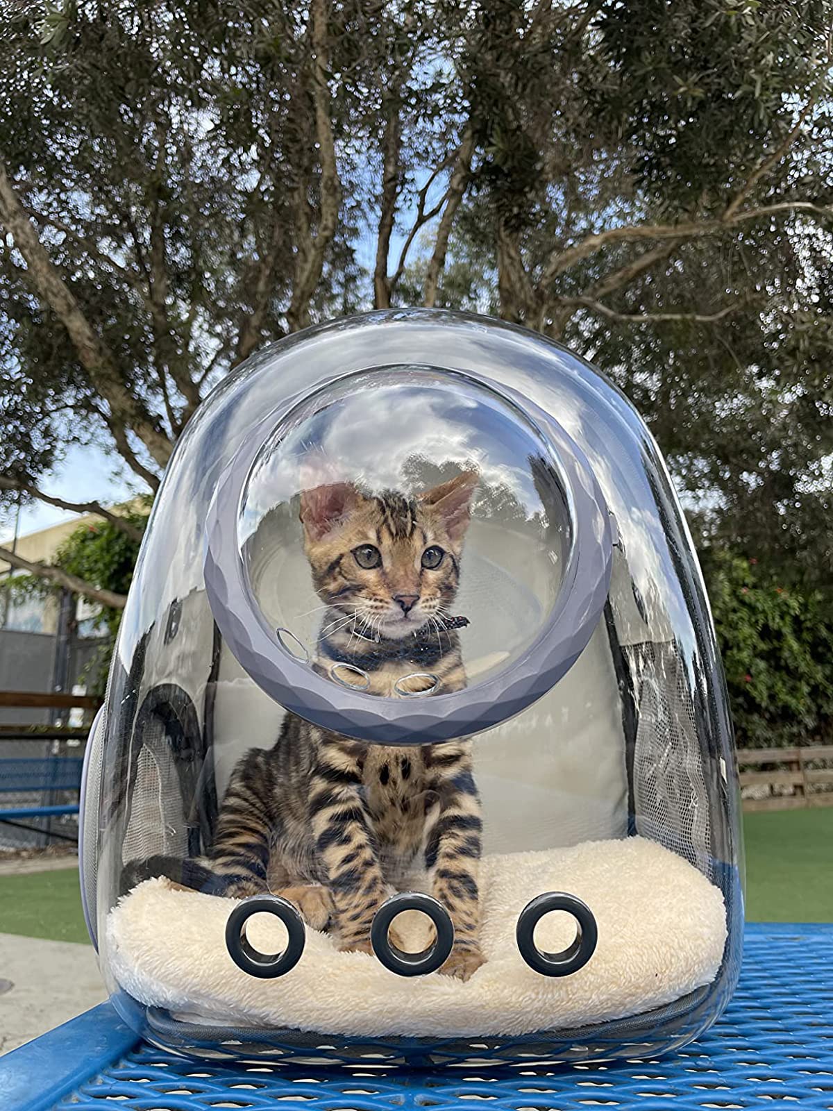 SunReady Space Capsule Cat and Small Dog Backpack Carrier practical daily pet care setup in Australia