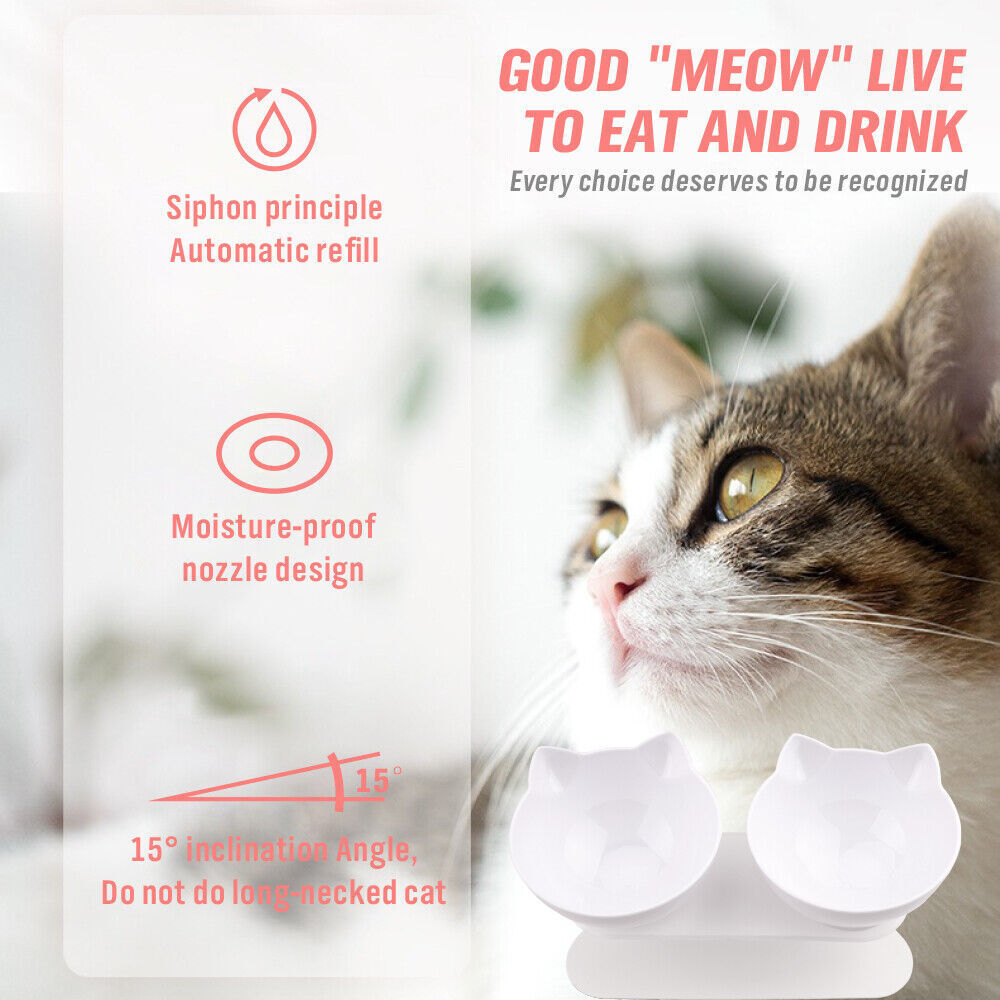 SunReady Ergonomic Elevated Double Cat Bowls feature view for indoor cats