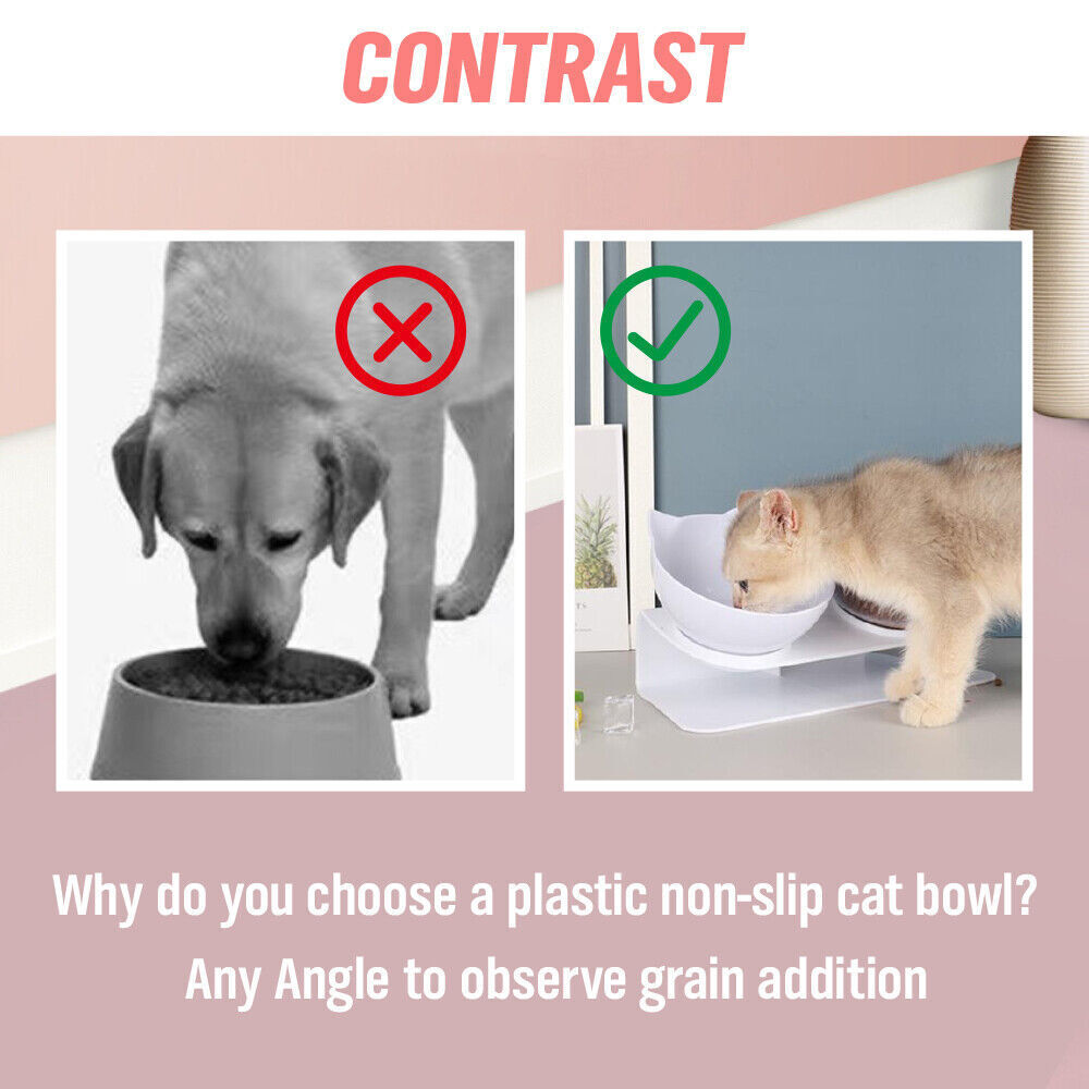 SunReady Ergonomic Elevated Double Cat Bowls for indoor cats in Australian homes