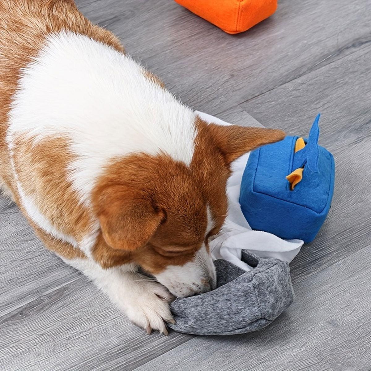 SunReady Calming Dog Snuffle Box Puzzle Toy practical enrichment play setup in Australia