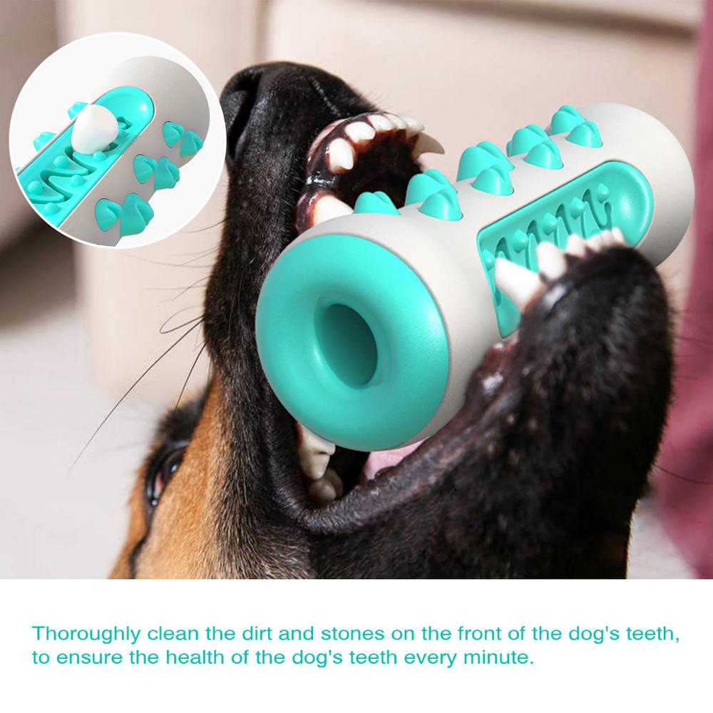 SunReady Tough Squeaky Dog Chew Toy and Dental Brush detail for enrichment play at home