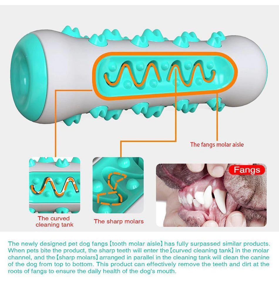 SunReady Tough Squeaky Dog Chew Toy and Dental Brush lifestyle photo for Australian pet homes