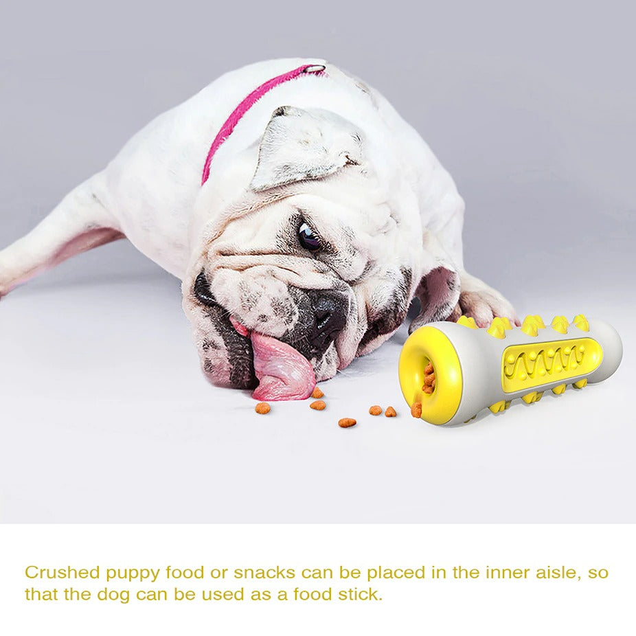 SunReady Tough Squeaky Dog Chew Toy and Dental Brush feature view for dogs