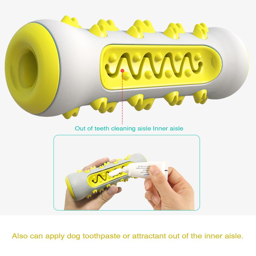 SunReady Tough Squeaky Dog Chew Toy and Dental Brush practical enrichment play setup in Australia