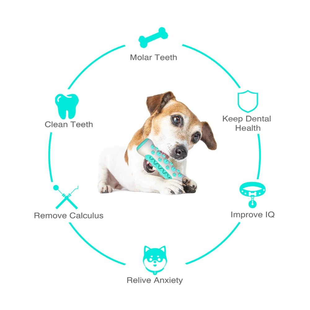 SunReady Tough Squeaky Dog Chew Toy and Dental Brush for dogs in Australian homes