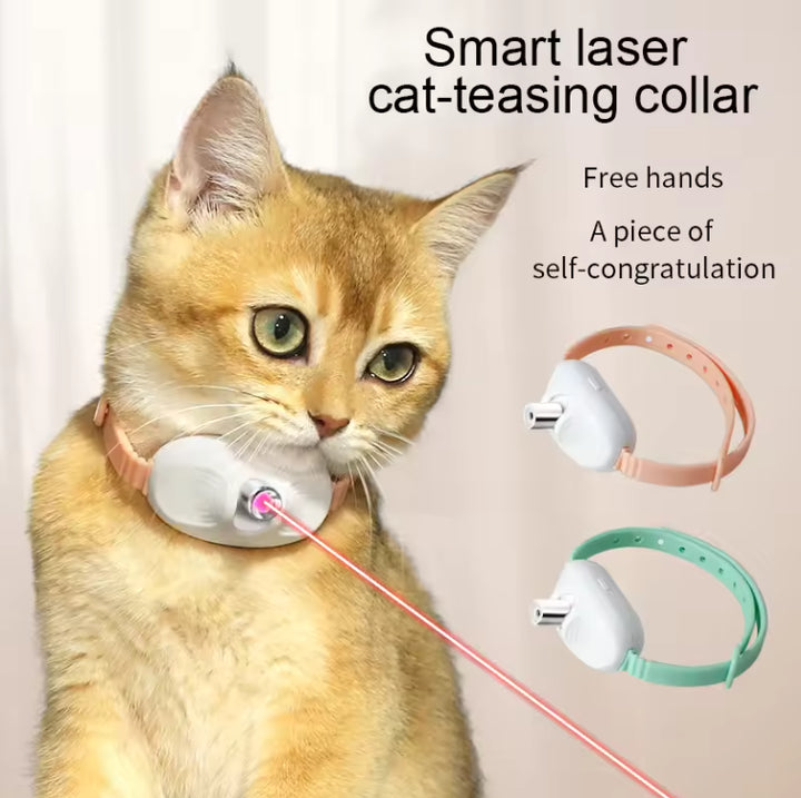 SunReady Smart Interactive Laser Cat Collar lifestyle photo for Australian pet homes