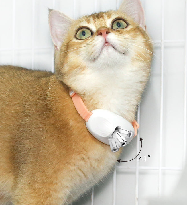 SunReady Smart Interactive Laser Cat Collar for indoor cats in Australian homes