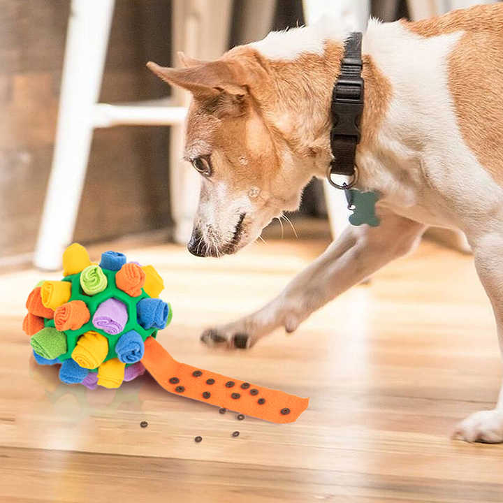 SunReady Interactive Snuffle Ball Treat Dispensing Toy lifestyle photo for Australian pet homes