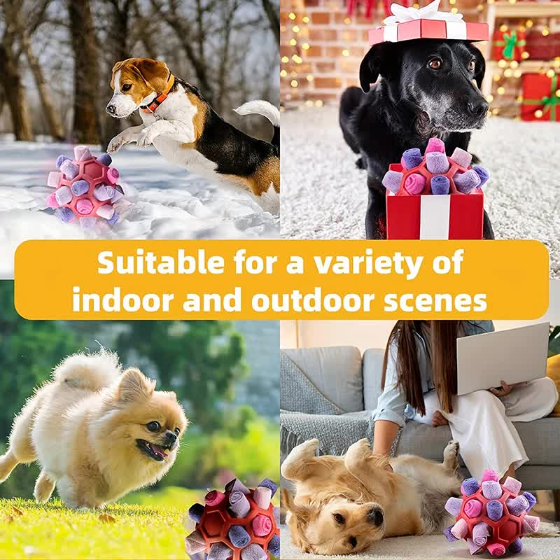 SunReady Interactive Snuffle Ball Treat Dispensing Toy lifestyle photo for Australian pet homes