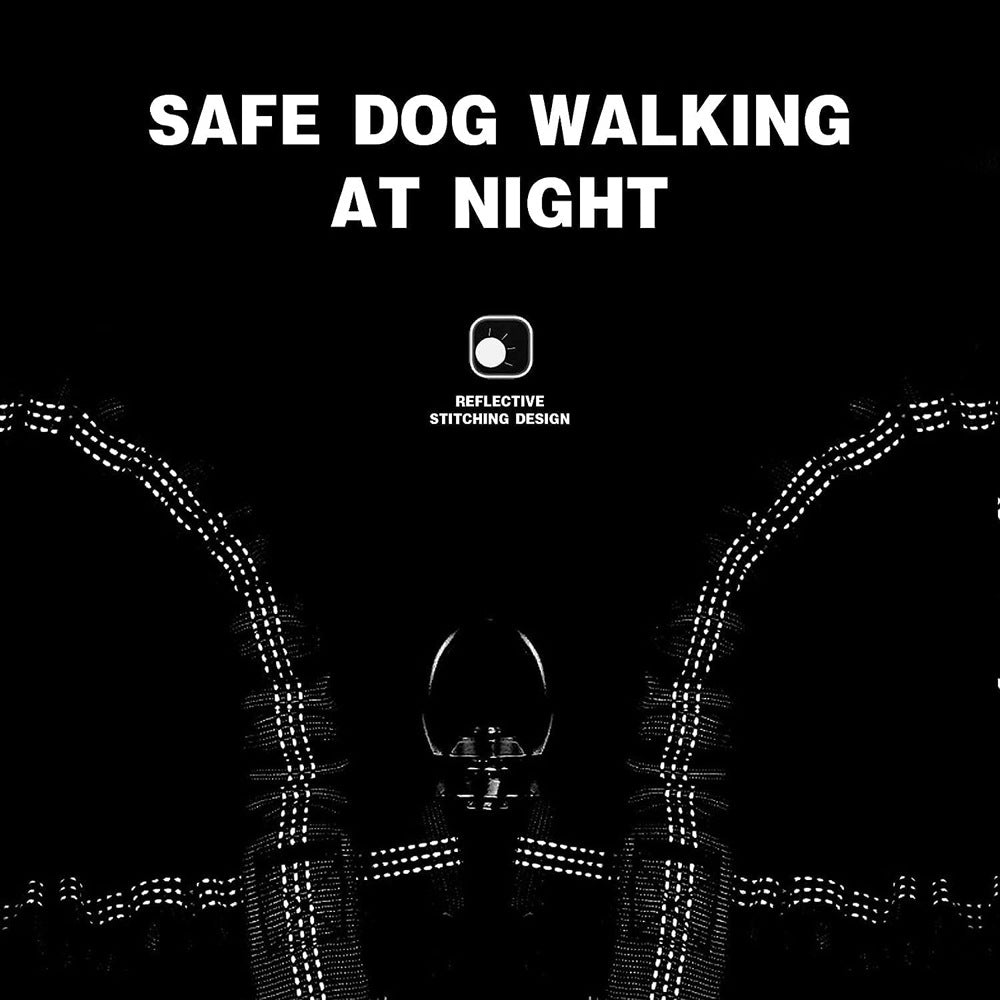 Reflective threads for safe night walking with SunReady™ multi-dog leash