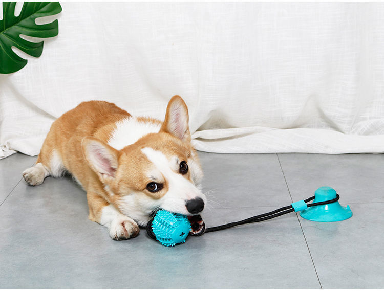 Interactive Dog Treat Dispenser Toy