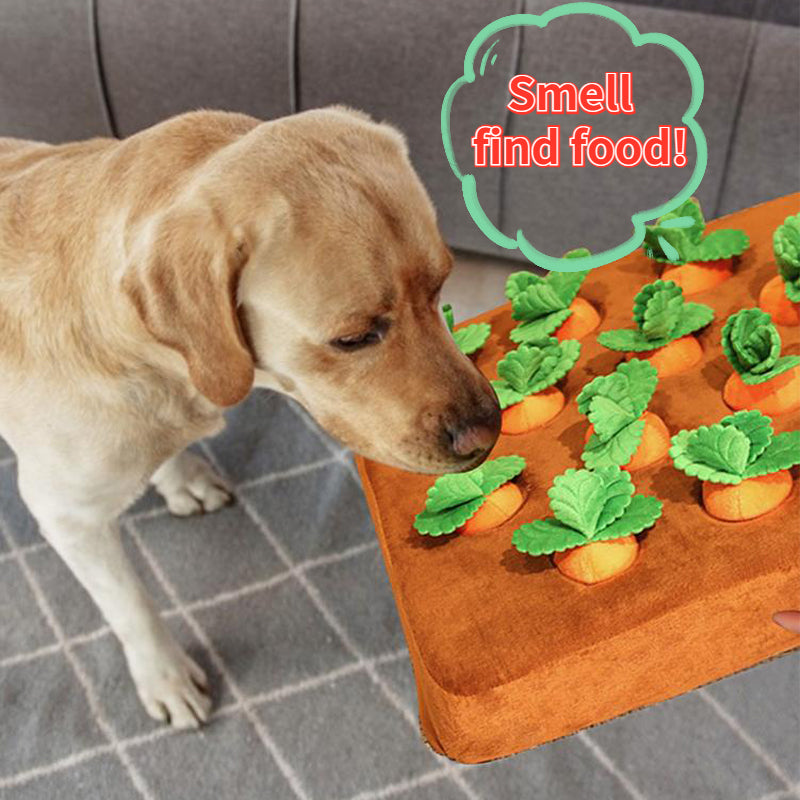 Interactive Dog Snuffle Mat Toy